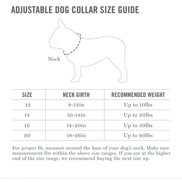 Aqua Martha Stewart Nylon Dog Collar 18-26” - Picture 7 of 8